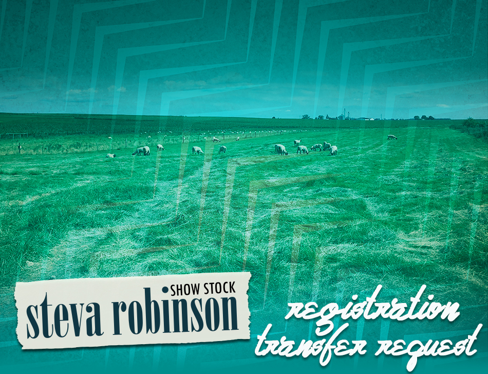 Steva Robinson Show Stock